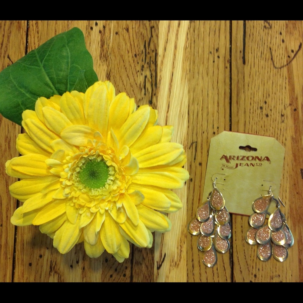 NWT. EAR RINGS